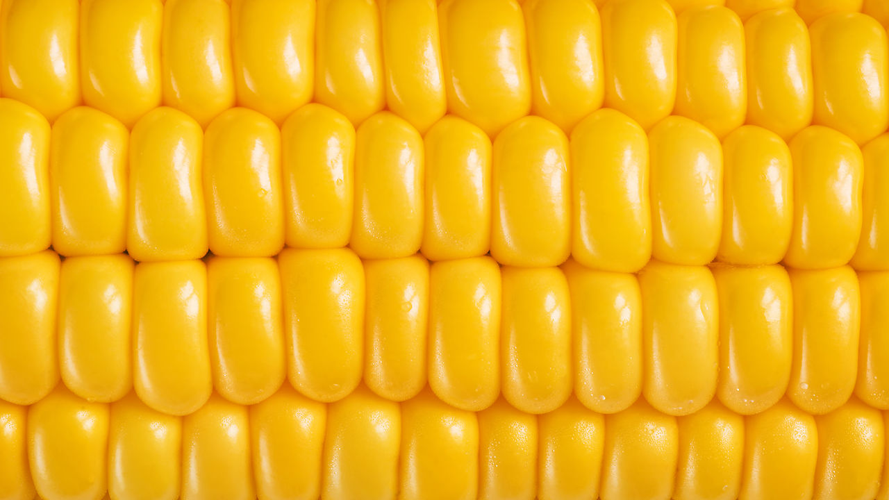 corn images #10