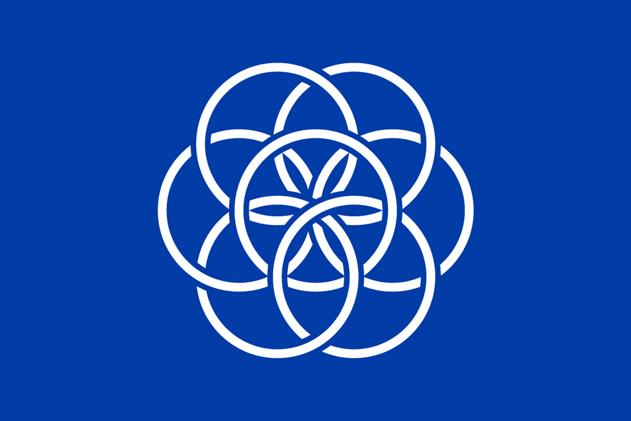Image of a proposed Earth flag. 